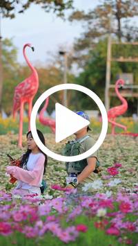 BIB:  <button type="button" onclick="openModal(27582924)" class="btn btn-primary btn-sm float-right" data-toggle="modal" data-target=".modal-high-quality">
                <i class="fa fa-download"></i> Download
                </button>